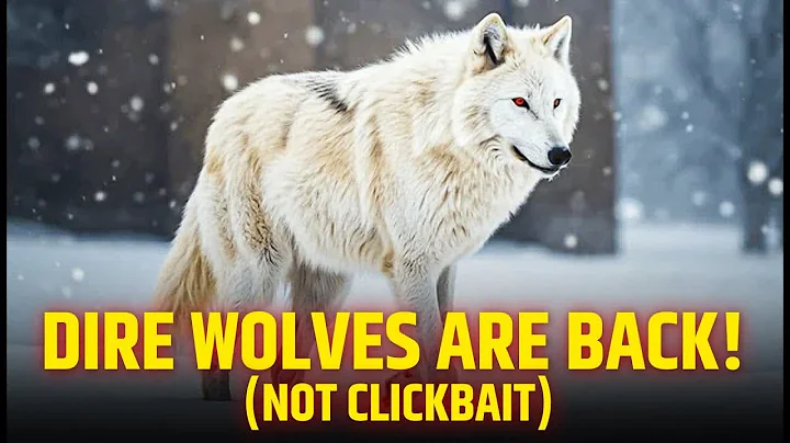 NEW! Scientists BRING BACK DIRE WOLVES After 13,000 Years! | Real-Life De-Extinction Explained