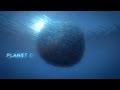 Seamaster planet ocean  tv commercial  omega