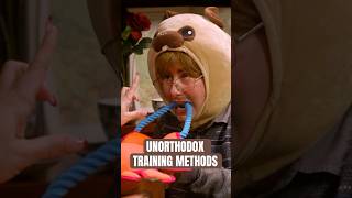Unorthodox Training Methods