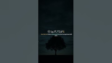 إذا اعجبتك التلاوة فعلق بـ سبحان الله ❤️ #قرآن_كريم #خشوع #إسلام_صبحي