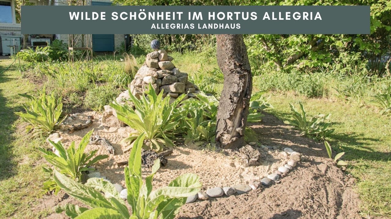Wilde Schönheit im Hortus Allegria