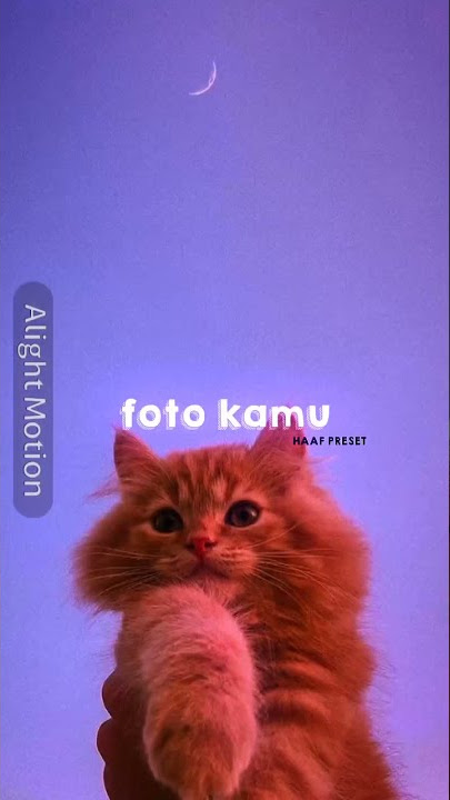 likn https://alight.link/CM6pfFRA3hJVrLKd8