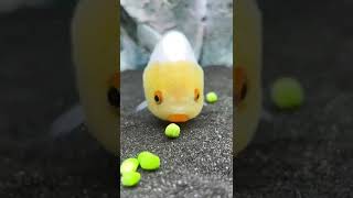 so cute little Fish 🐠🐟#shorts #shortvideo #cute #fishing