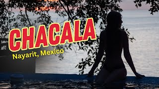 Chacala, Nayarit | Mainland Mexico | Sailing Avocet