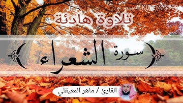 سورة الشعراء / الشيخ ماهر المعيقلي Sourat Ash-Shu'ara / Sheikh Mahir al-Muayqli