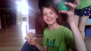 Strenth Challange Human Vs Hamster