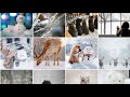Christmas Wallpapers And Backgrounds Android App
