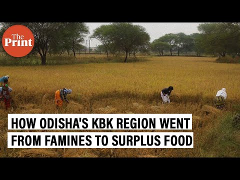 Starvation deaths to surplus food production — How Odisha’s KBK corridor saw a complete turnaround