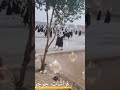 مأجمل الطفولة وصحبة الدراسة