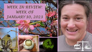 Week in Review: Week of January 30, 2023