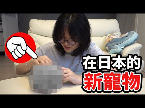 【開箱】妞妞在日本有新貓咪了? 想念雪卷和花卷 日本留學生活[NyoNyoTV妞妞TV]