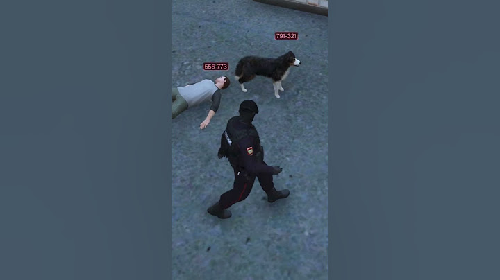 СОБАКА СПАСЛА ИГРОКА в ГТА 5 РП | (GTA 5 RMRP - Криминальная Москва)