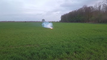 Cipolla whistling 100 gram weigert...