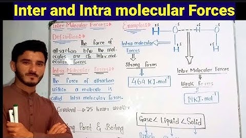 Inter Molecular Force and Intra Molecular Force/Inter and Intra Molecular Forces /Iqbal biology