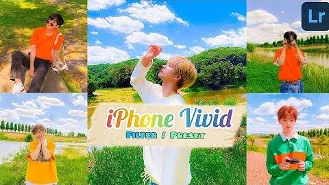 iPhone Vivid Filter / Preset | One Click, Better Photo Free DNG Lightroom Preset Best Photo Editing