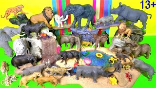 Wild ZOO Animals - Lion, Elephant, Rhinoceros, Leopard, Buffalo 13+