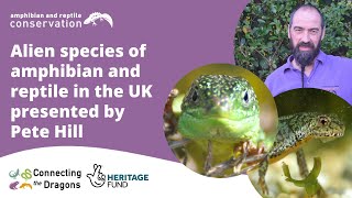 Alien species of amphibian and reptile in the UK presented by Pete Hill