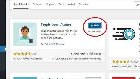 How to Install the cs for WordPress User’s Profile Picture in 20 steps