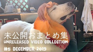 【ルンルンの裏庭】未公開おまとめ集 #5　2019年12月