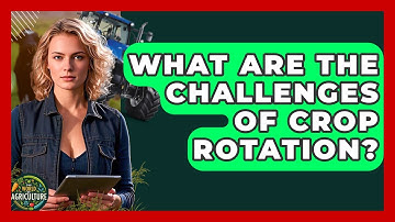 What Are The Challenges Of Crop Rotation? - The World of Agriculture