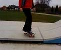 toni skater