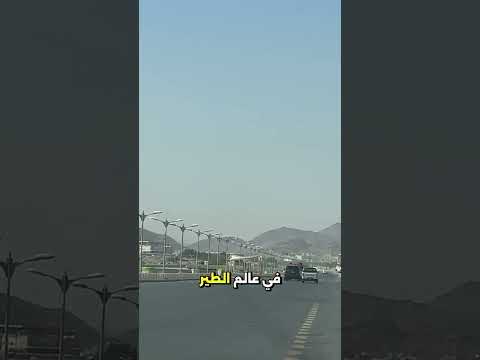 الله قادر يتولى أمرك كله ويطو ق قلبك بالطمأنينة حين ت ظلم الدنيا في وجهك اكسبلور