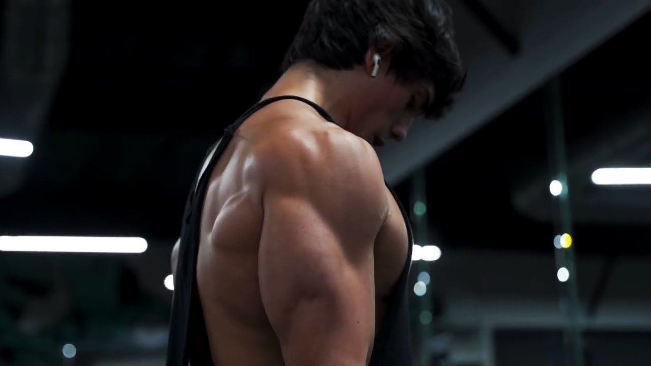 GYM HARDSTYLE x Wild Ones (ANTVN Hardstyle Remix)