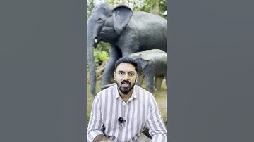 Wondering how to create a sitemap.xml for your website?