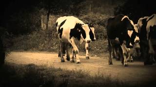 Documental Completo "Enfoques de una vida".