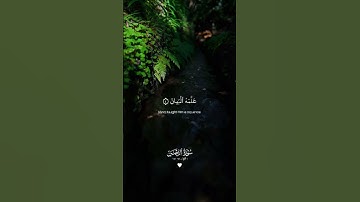 تلاوة هادئة تريح الأعصاب 😴🎧 القارئ: طارق محمد سورة: الرحمن 💙❤