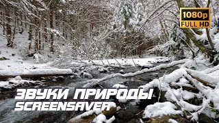 Живая природа - Река | Звуки природы | Звуки реки | Шум воды | Релаксация | Антистресс | Заставка ТВ