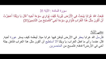 سورة المائدة الآية 31: شرح معنى الآية وتكرارها لتسهيل الحفظ