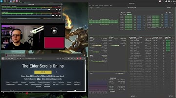 Two Linux gamers review The Elder Scrolls Online