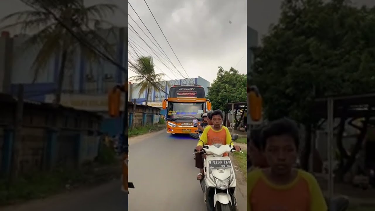 Bus basuri cleopatra dan lainnya