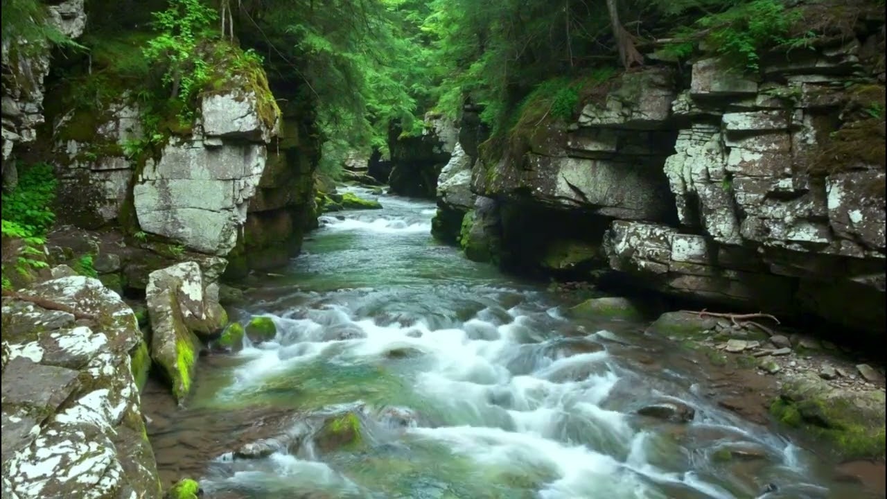 Peaceful Mountain Stream and Birdsong, Escape Nature, Relaxation for Sleep