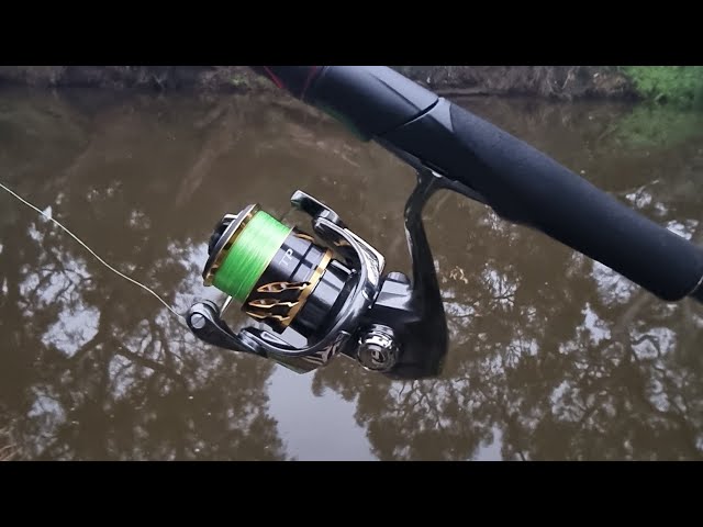 Just How Good Is The Shimano Twin Power 1000? #shimano #australianbass  #tiemco 