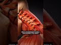 DONT HOLD YOU PHONE IN WRONG WAY || WATCH THIS #neckpain #shouldermassager #posturecorrector