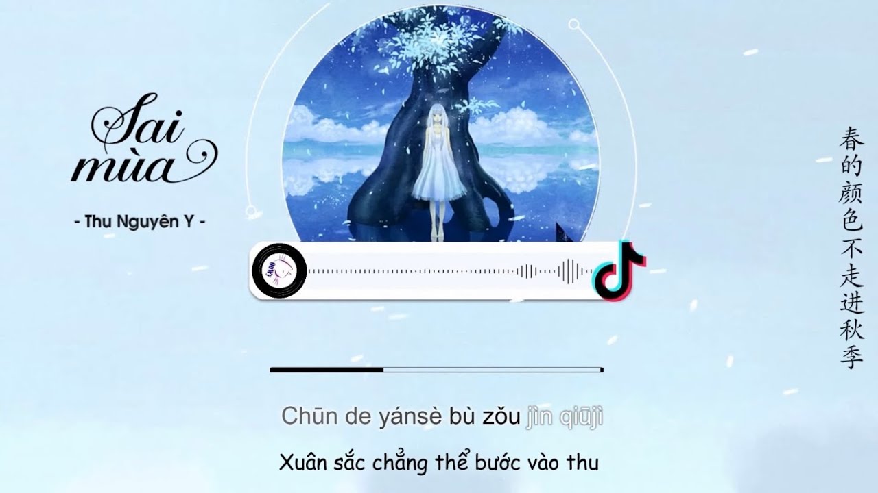 Video YouTube
