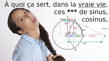 Pourquoi Cos et Sin ?