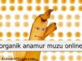 Organik anamur muzu