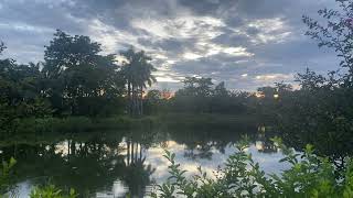 A Quiet Walk by the Lake at Dusk  Calm Nature Sounds screenshot 5