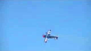 Haute Voltige Aerobatics Japan Grand Prix