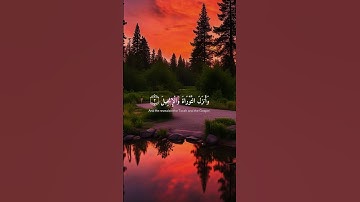 #اسلام_صبحي #تلاوة_خاشعة #راحة_نفسية