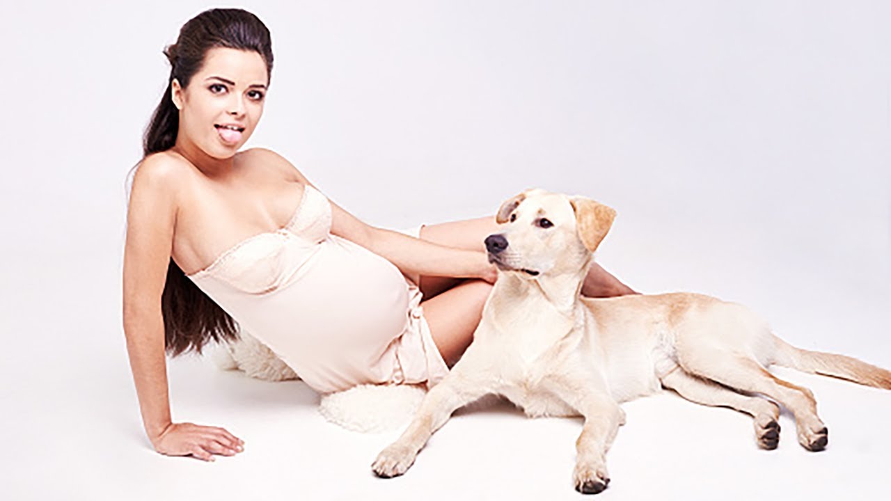 Main sama anjing. Pregnant with Puppies. Pregnant with Puppies рисунки.