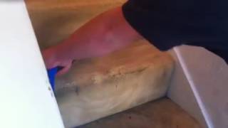 Area Rug cleaning Los Angeles, CA