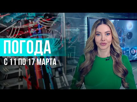 Погода на неделю 11–17 марта 2024. Прогноз погоды. Беларусь | Метеогид