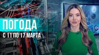 Погода на неделю 11–17 марта 2024. Прогноз погоды. Беларусь | Метеогид