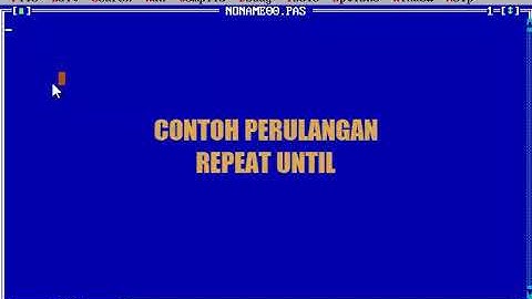 REPEAT UNTIL PASCAL