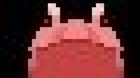 this is what a actual front facing big frog looks like