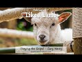 Like a Lamb (February 17)